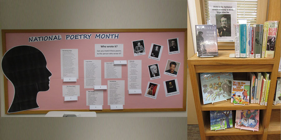 Circulation Desk Bulletin Board