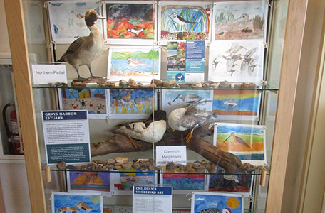 Birds and Nature by the Coastal Interpretive Center