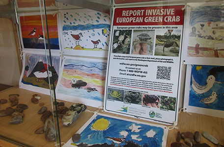 Birds and Nature by the Coastal Interpretive Center