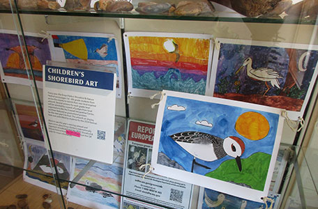 Birds and Nature by the Coastal Interpretive Center