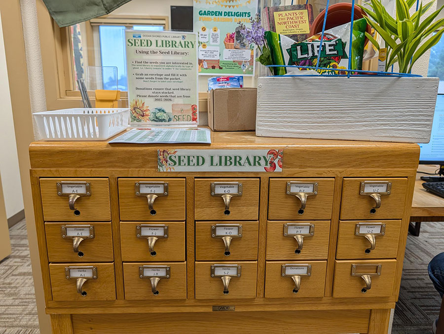 Seed Library in Card Catalog Drawers